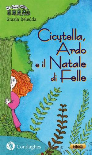bigCover of the book Cicytella, Ardo e il Natale di Felle by 