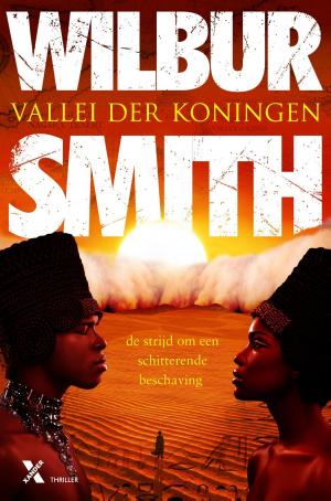Cover of the book Vallei der Koningen by Steinar Bragi