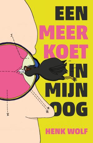 Cover of the book Een meerkoet in mijn oog by Rik Marselis, Ewald Roodenrijs