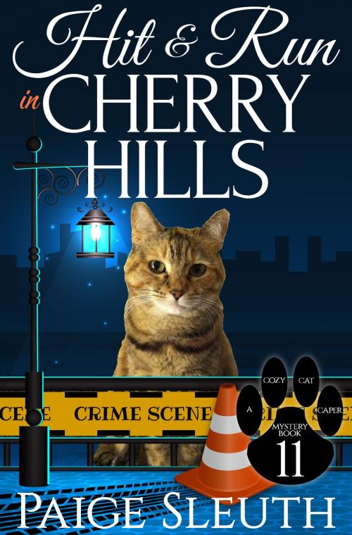 Cover of the book Hit and Run in Cherry Hills by Paige Sleuth, Marla Bradeen