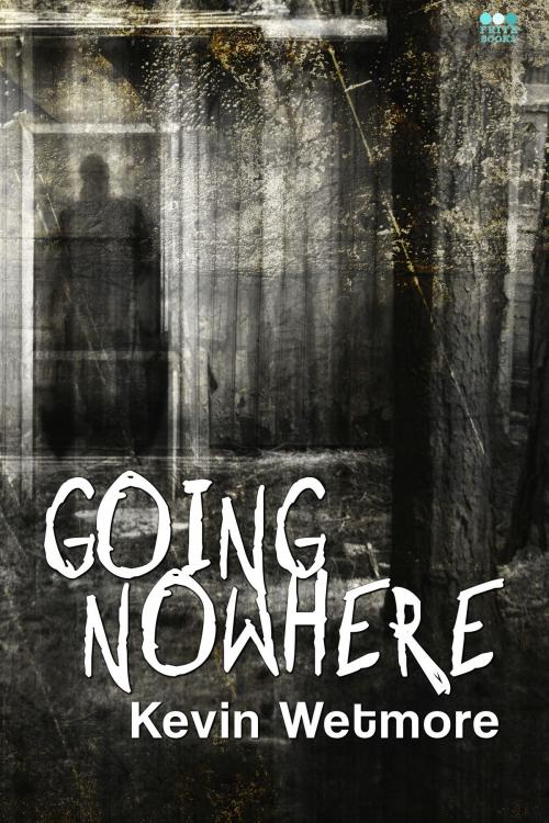 Cover of the book Going Nowhere by Going Nowhere, Frith Books