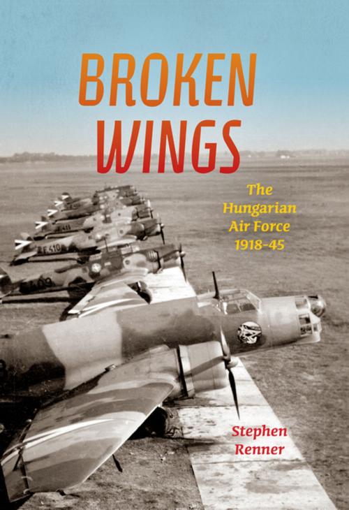 Cover of the book Broken Wings by Stephen L. Renner, Indiana University Press