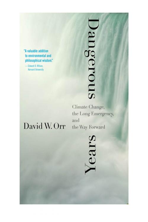 Cover of the book Dangerous Years by David W. Orr, Yale University Press
