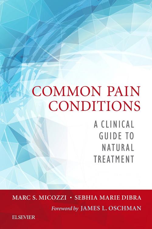 Cover of the book Common Pain Conditions - E-Book by Sebhia Dibra, Marc S. Micozzi, MD, PhD, Elsevier Health Sciences