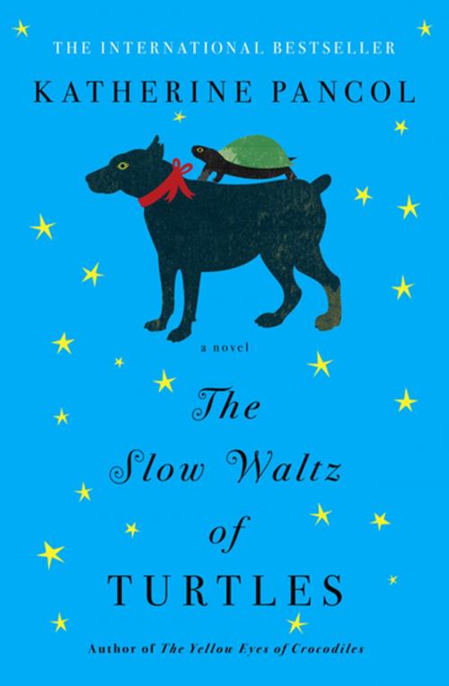Cover of the book The Slow Waltz of Turtles by Katherine Pancol, Penguin Publishing Group