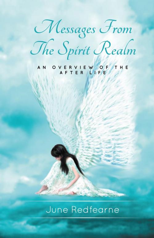 Cover of the book Messages From The Spirit Realm by June Redfearne, Spirit of the Boabs