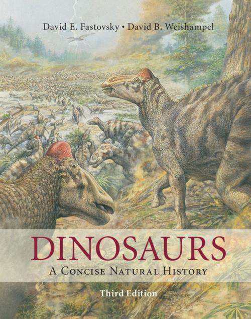 Cover of the book Dinosaurs by David E. Fastovsky, David B. Weishampel, Cambridge University Press