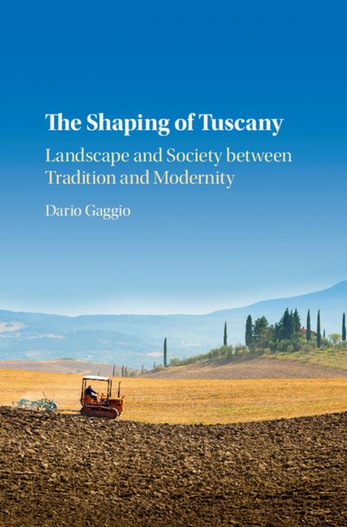 Cover of the book The Shaping of Tuscany by Dario Gaggio, Cambridge University Press