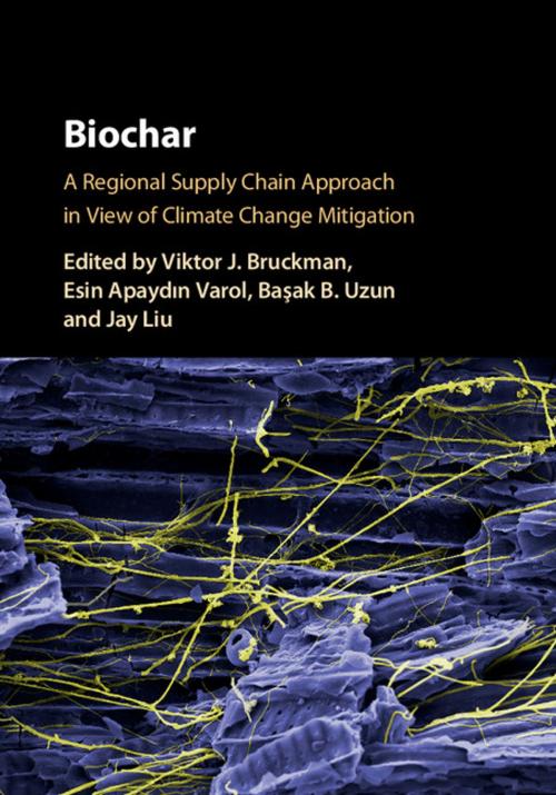 Cover of the book Biochar by , Cambridge University Press