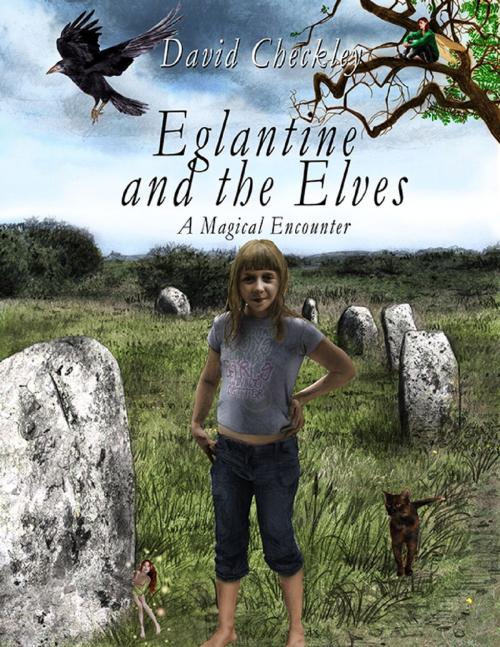 Cover of the book Eglantine and the Elves by David Checkley, Lulu.com