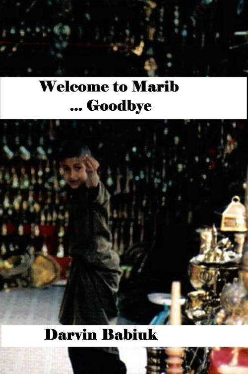 Cover of the book Welcome to Marib ... Goodbye by Darvin Babiuk, Darvin Babiuk