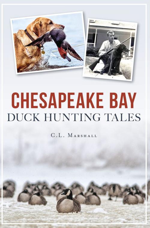 Cover of the book Chesapeake Bay Duck Hunting Tales by C.L. Marshall, The History Press