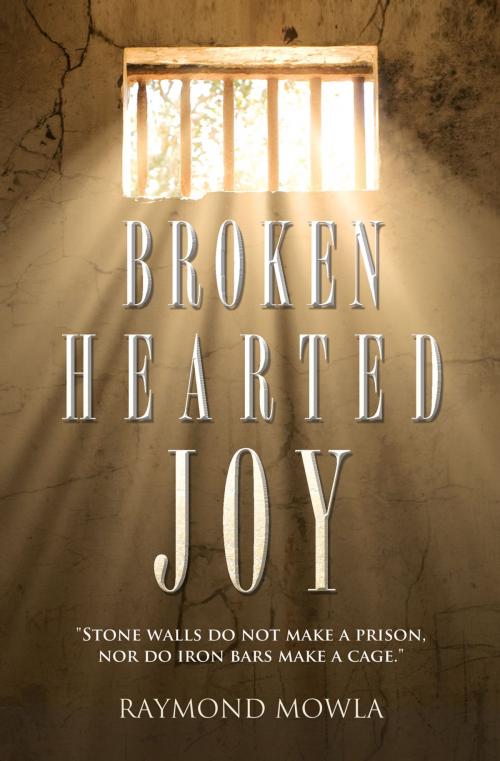 Cover of the book Broken Hearted Joy by Raymond Mowla, Essence Publishing