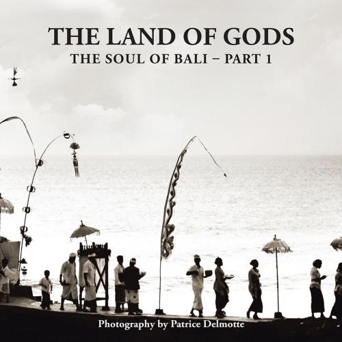 Cover of the book The Land of Gods by Patrice Delmotte, Partridge Publishing Singapore