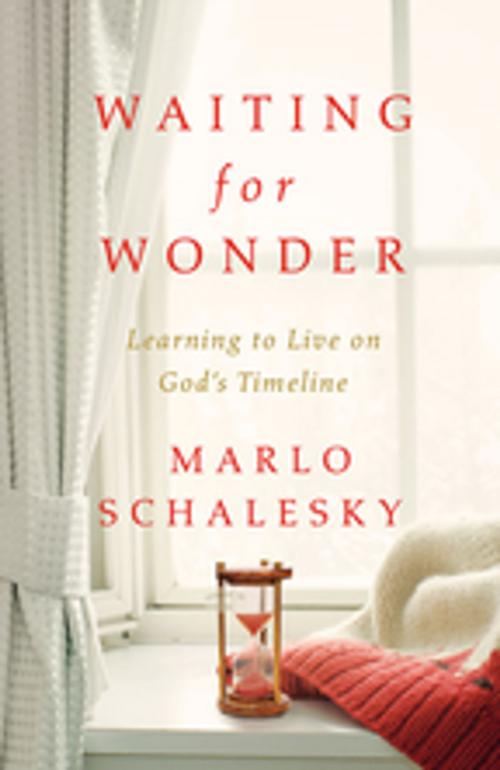 Cover of the book Waiting for Wonder by Marlo Schalesky, Abingdon Press