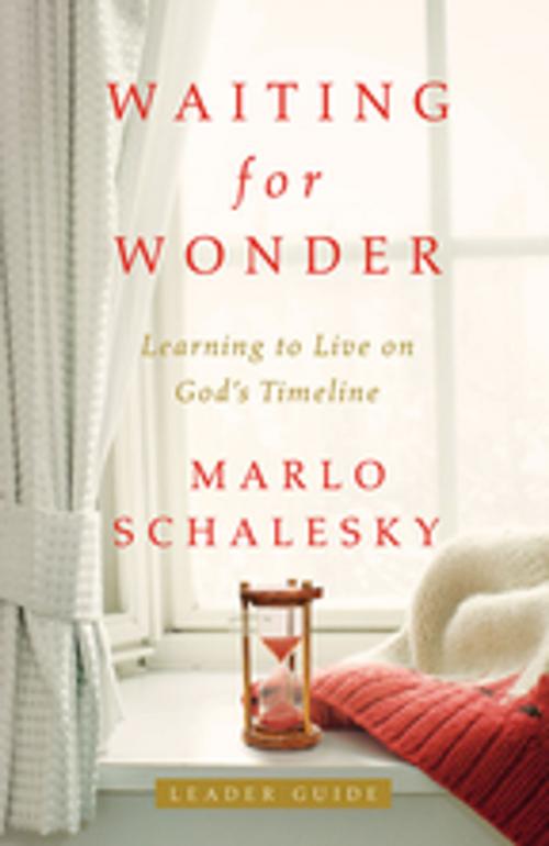 Cover of the book Waiting for Wonder Leader Guide by Marlo Schalesky, Abingdon Press