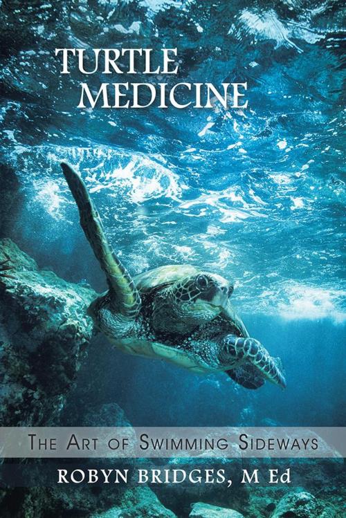 Cover of the book Turtle Medicine by Robyn Bridges, Balboa Press