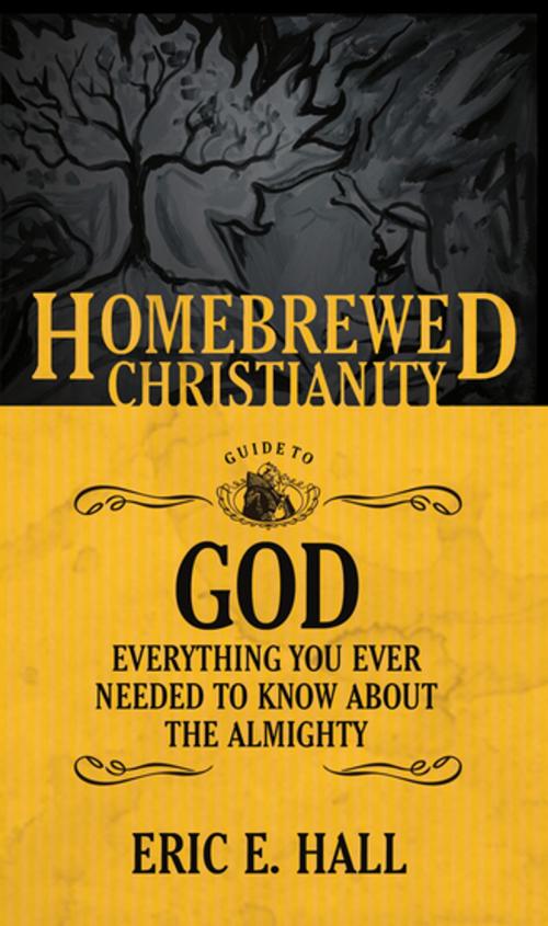 Cover of the book The Homebrewed Christianity Guide to God by , Fortress Press