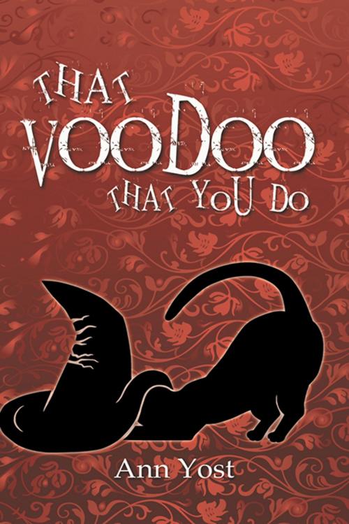 Cover of the book That Voodoo That You Do by Ann  Yost, The Wild Rose Press, Inc.