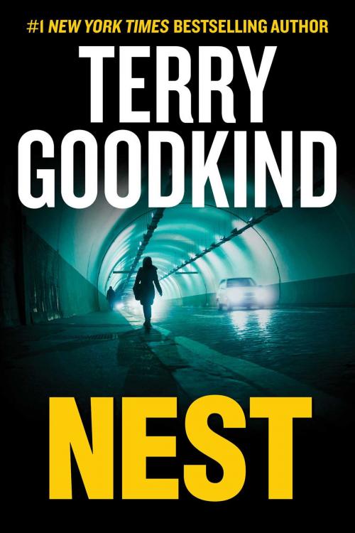 Cover of the book Nest by Terry Goodkind, Skyhorse