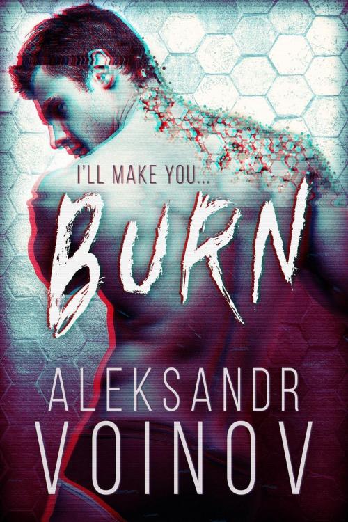 Cover of the book Burn by Aleksandr Voinov, 44 Raccoons