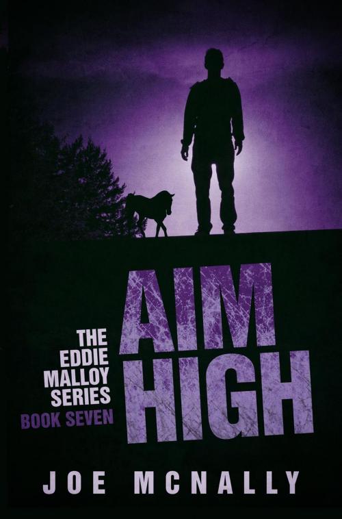 Cover of the book Aim High by joe mcnally, joe mcnally