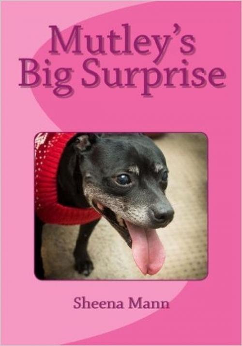 Cover of the book Mutley's Big Surprise by sheena mann, sheena mann