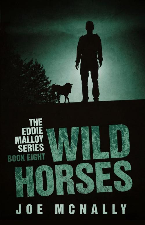 Cover of the book Wild Horses by joe mcnally, joe mcnally