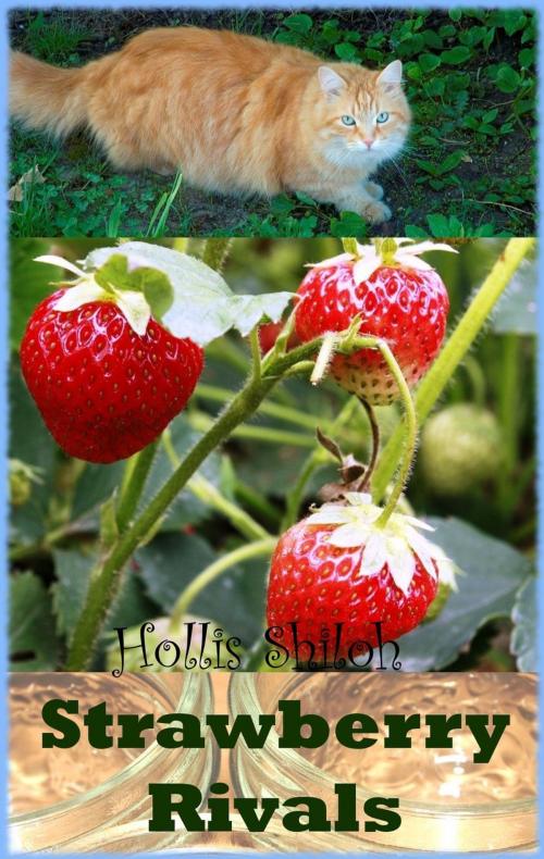 Cover of the book Strawberry Rivals by Hollis Shiloh, Spare Words Press