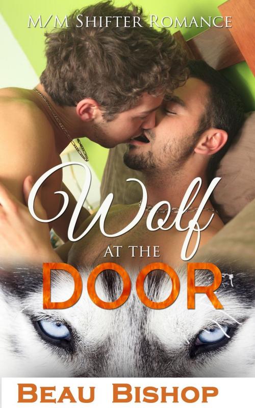 Cover of the book The Wolf at the Door by Beau Bishop, Beau Bishop