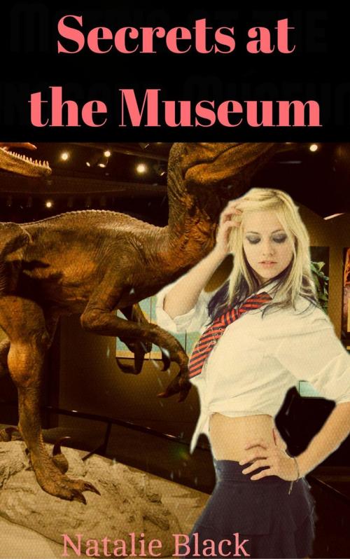 Cover of the book Secrets at the Museum by Natalie Black, Roja Publishing
