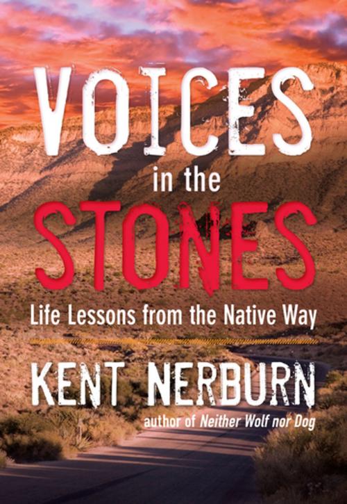 Cover of the book Voices in the Stones by Kent Nerburn, New World Library
