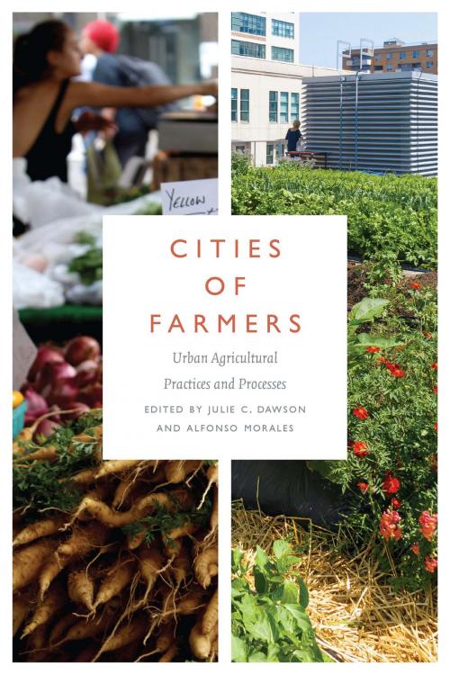 Cover of the book Cities of Farmers by , University of Iowa Press