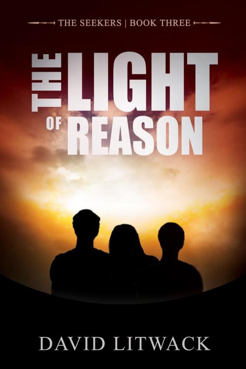 Cover of the book The Light of Reason by David Litwack, Evolved Publishing LLC