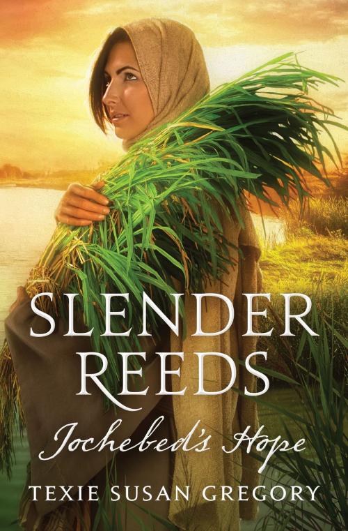Cover of the book Slender Reeds: Jochebed's Hope by Texie Susan Gregory, Barbour Publishing, Inc.