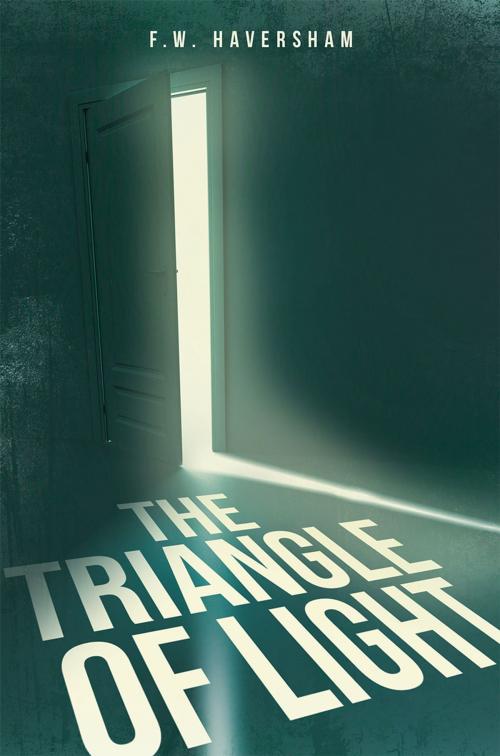 Cover of the book The Triangle of Light by F.W. Haversham, Page Publishing, Inc.