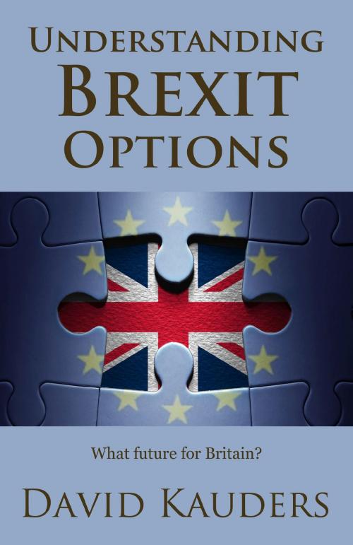 Cover of the book Understanding Brexit Options by David Kauders, Sparkling Books Limited