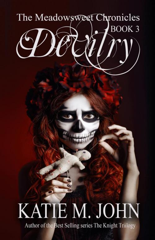 Cover of the book Devilry by Katie M John, Little Bird Publishing House