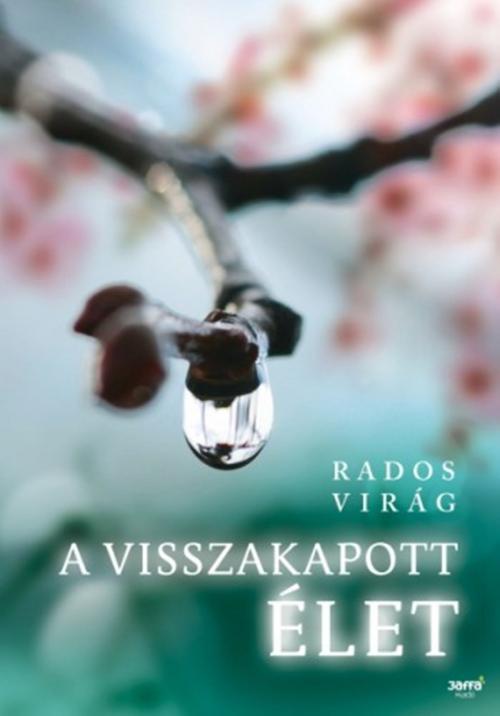 Cover of the book A visszakapott élet by Rados Virág, PublishDrive