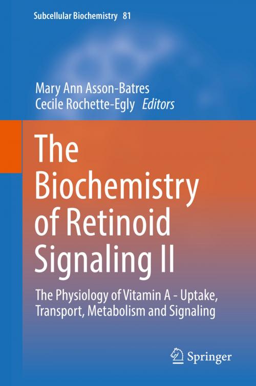 Cover of the book The Biochemistry of Retinoid Signaling II by , Springer Netherlands