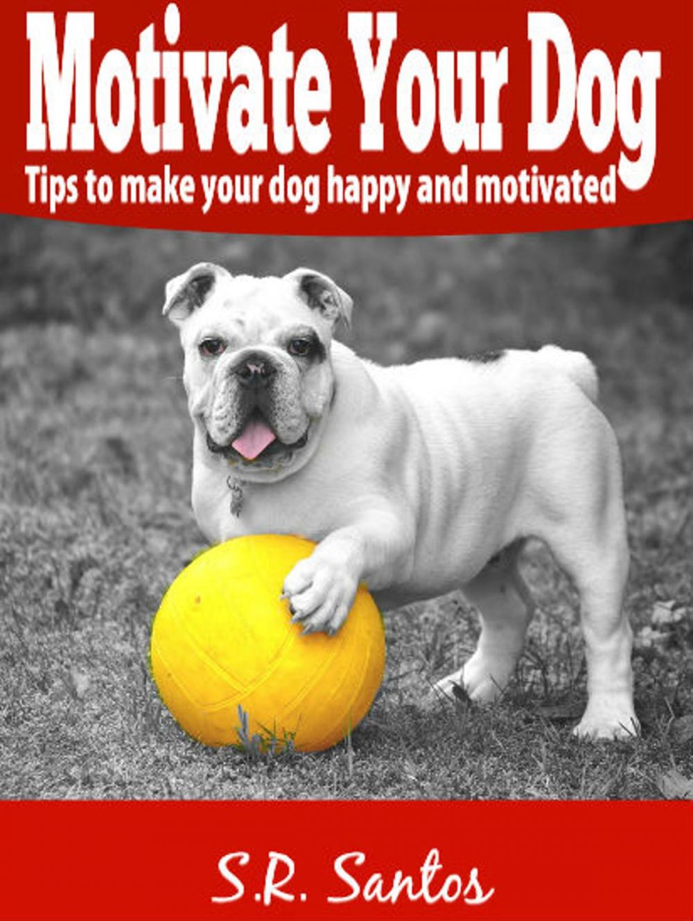 Big bigCover of Motivate Your Dog - Tips to Make Your Dog Happy And Motivated