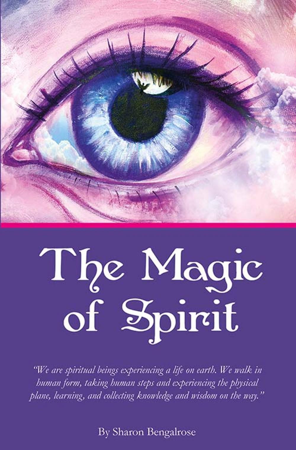 Big bigCover of The Magic of Spirit