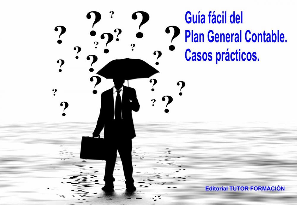 Big bigCover of Guía fácil del Plan general contable: Casos prácticos.