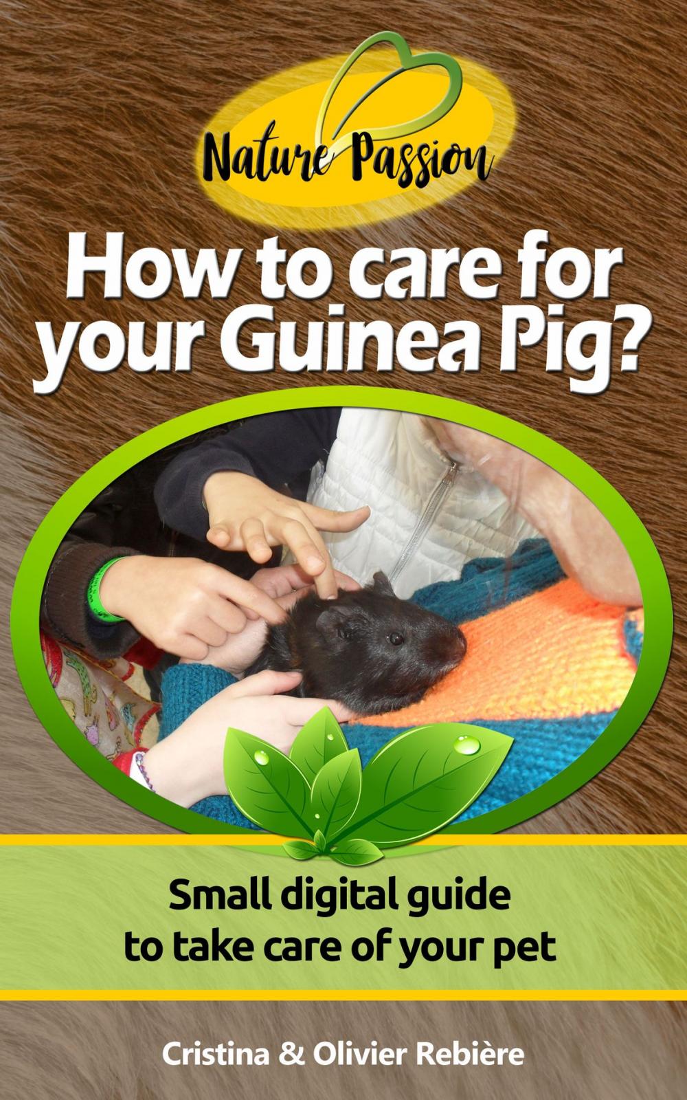 Big bigCover of How to care for your Guinea Pig?