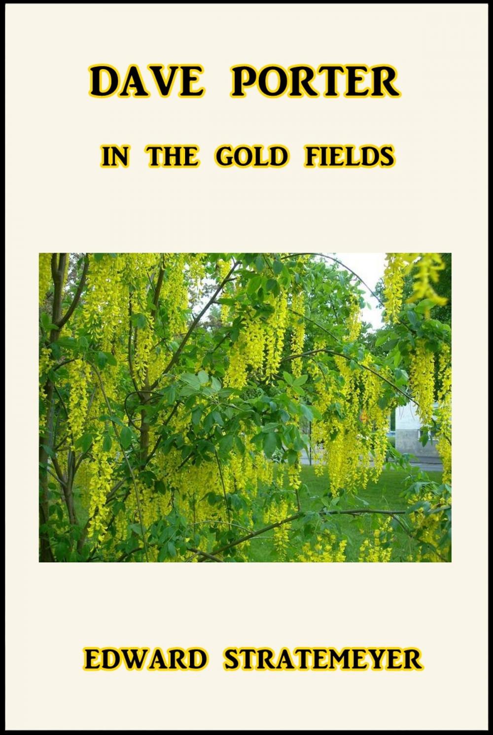 Big bigCover of Dave Porter in the Gold Fields