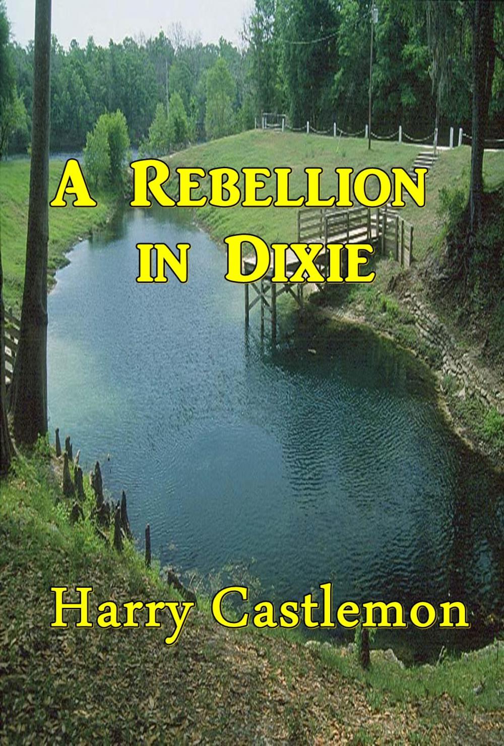 Big bigCover of A Rebellion in Dixie