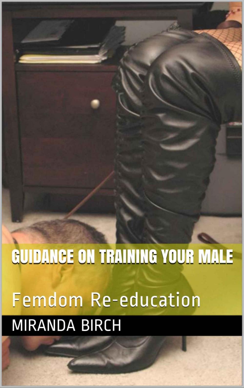 Big bigCover of Guidance On Training Your Male