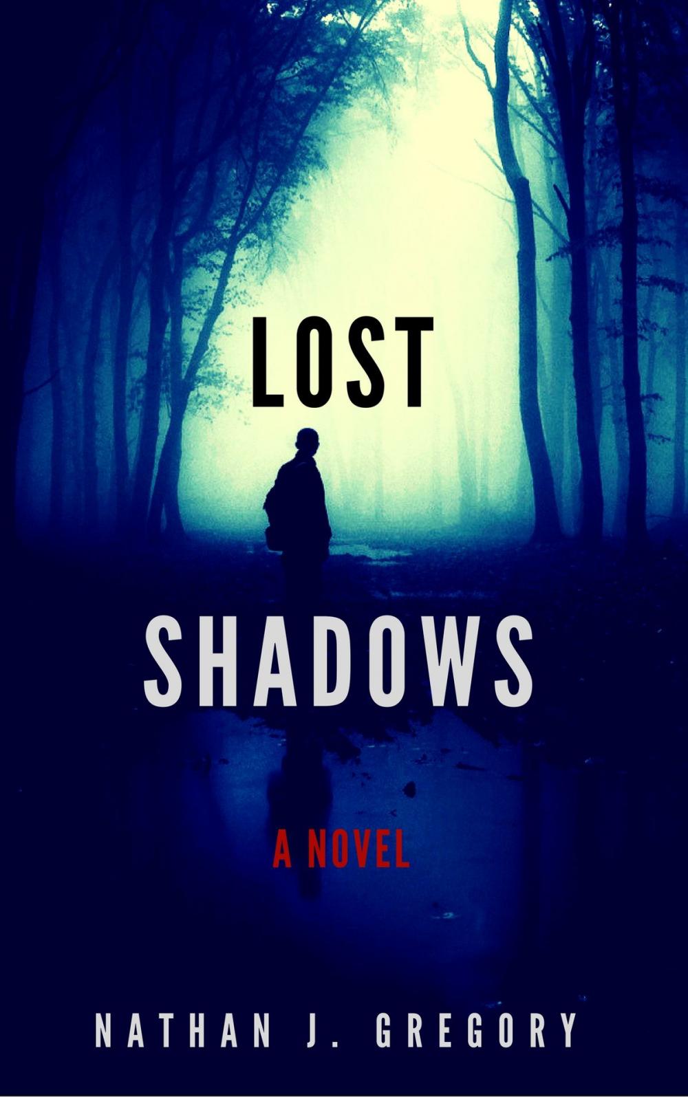Big bigCover of Lost Shadows: A Novel