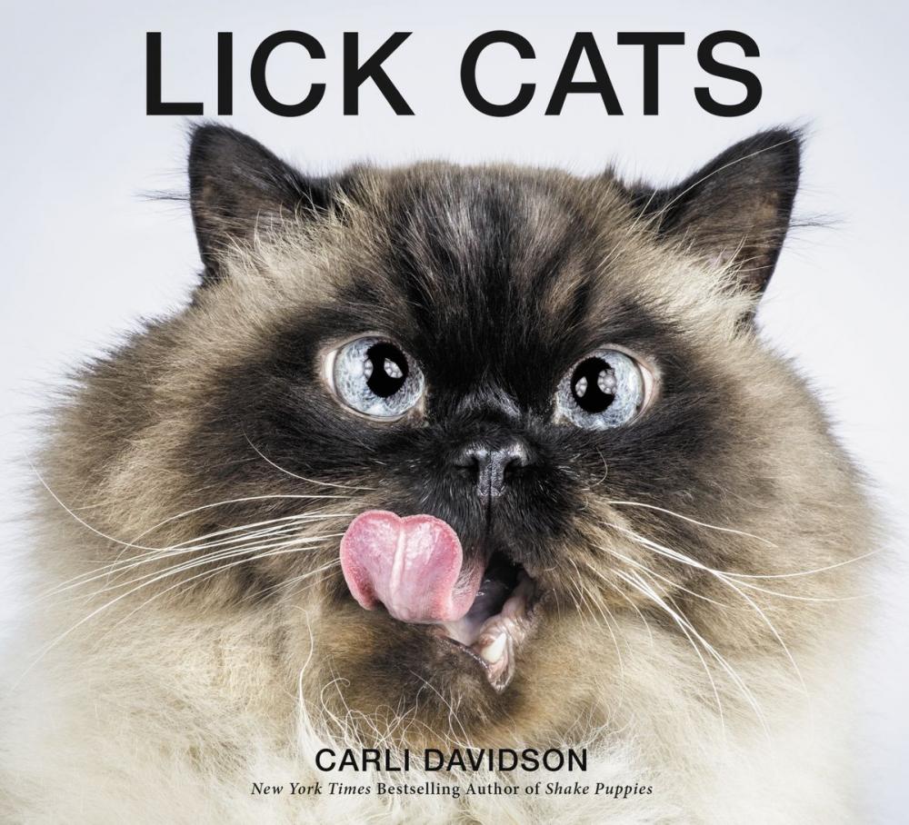 Big bigCover of Lick Cats