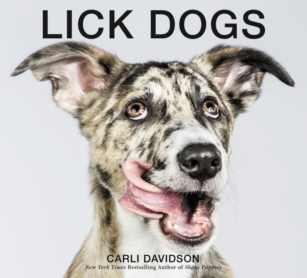 Big bigCover of Lick Dogs